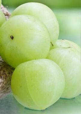 Fresh Wild Amla / Gooseberry Thokku